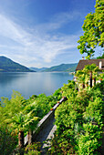 Terrassierter Garten mit Palmen über Lago Maggiore, Ronco sopra Ascona, Lago Maggiore, Tessin, Schweiz