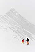 Two skiers in fog, Hintertux, Tyrol, Austria