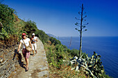 Wanderer auf einem Pfad entlang der Felsküste unter blauem Himmel, Cinque Terre, Ligurien, Italienische Riviera, Italien, Europa