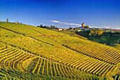 Vineyards in front of Serralunga d´Alba in the sunlight, Piedmont, Italy, Europe