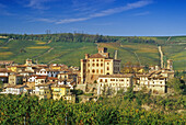 Kastell auf einem Hügel im Sonnenlicht, Barolo, Piemont, Italien, Europa