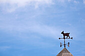 Spain, Canary Islands, Fuerteventura, weathervane