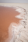 TUNIS. SALT LAKE CHOTT EL DJERID