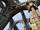 Tintern Abbey in south east Wales