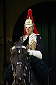 Horse guards. London. England