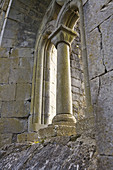 Detail of windows of Cong Abbey, Ireland