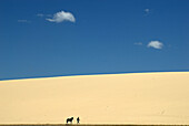 Farmer and horse. Jericoacoara, Brazil.