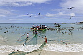 Fishermen pulling in nets, Playa Guayacan, Isla Margarita, Nueva Esparta, Venezuela