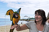 Touristin mit Gelbbrustara, Halbinsel Macanao, Isla Margarita, Nueva Esparta, Venezuela