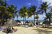 Palm-lined beach, Playa Puerto La Cruz, Nueva Esparta, Venezuela