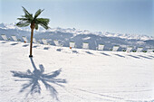Liegestühle und Palme, Schneebar an der Skipiste, Apres Ski Bar, Winter, Skigebiet Crans Montana, Schweiz