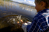 Boy sitting on the lake shore with his feet in the water, Lake Staffelsee, Upper Bavaria, Bavaria, Germany