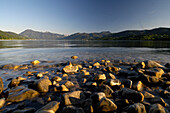 Seeufer am Tegernsee, Oberbayern, Bayern, Deutschland