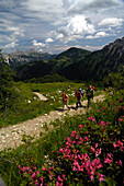 Family hiking in the mountains, Tannheimer Mountains, Allgaeu Alps, Tirol, Austria, Europe