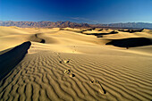 Fussspuren im Sand unter blauem Himmel, Death Valley, Kalifornien, Nordamerika, Amerika