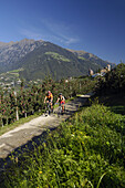 Two mountain bikers passing apple trees, Schenna, Trentino-Alto Adige/Südtirol, Italy