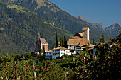 Häuser und Kirche des Bergdorfs Schenna im Sonnenlicht, Südtirol, Italien, Europa