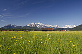 Meadow with hay barn, Werdenfelser Land, Karwendel range, Bavaria, Germany