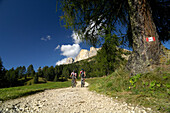Junges Paar auf Mountainbikes unter blauem Himmel, Südtirol, Italien, Europa