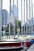 Boats moored in the harbour, Alte Donau, Vienna, Austria