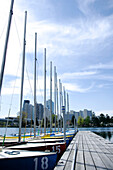 Boote im Hafen, Alte Donau, Wien, Österreich