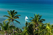 View along Palmtrees to a Sailboat, Varadero, Matanzas, Cuba, West Indies