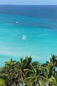 View along Palmtrees to a Sailboat, Varadero, Matanzas, Cuba, West Indies
