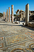 Temple of Hadrian,  ruins of Ephesus. Turkey