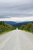 Road,  Gaspesie National Park. Gaspe Peninsula,  Quebec,  Canada