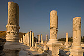 Western bathhouse colonnade ruins. Palladius street byzantine colonnade ruins tel beit shean national park. Israel.