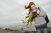 young teenagewoman on marine biology field course studying kelp seaweed on the beach, Criccieth, North Wales, windy afternoon