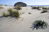 Dunes of San Jose and Monsul beach, Cabo de Gata-Nijar Biosphere Reserve. Almeria province, Andalucia, Spain