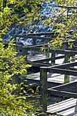 Autumn, Botanic, Bridge, Cascade, Color, Colour, Foot-path, Garden, Leaf, Leafes, Park, Vertical, Walk, Waterfall, XM8-765499, agefotostock