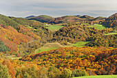 Orabidea is a forest spot, located in Baztan, an area of the north of Navarra, close to the French border. There is a path at the end of Orabideas road leading to the Hells Mill (Infernuko Errota) built on the river.