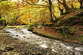 Orabidea is a forest spot, located in Baztan, an area of the north of Navarra, close to the French border. There is a path at the end of Orabideas road leading to the Hells Mill (Infernuko Errota) built on the river.