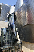 Guggenheim Museum by F.O. Gehry, Bilbao. Biscay, Basque Country, Spain