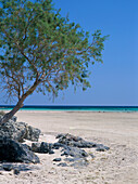 Beach Scene, Elafonisi, Crete, Greek Islands