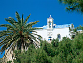 Monastery with palm tree in foreground, Hrisoskalitssa Monastery, Crete, Greek Islands