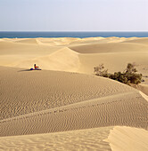 Sand dune scenery, Maspalomas, Gran Canaria, Canary Islands