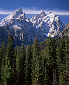 View over trees to mountains, Grand Teton National Park, Wyoming, USA