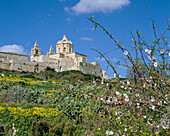 View to Mdina, Mdina, Malta, Maltese Islands