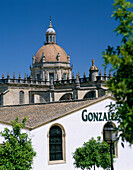 The Colegiata, Jerez De La Frontera, Andalucia, Spain