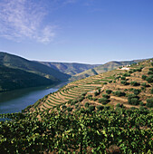 River Douro, Pinhao, near, Douro, Portugal