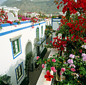 View from Rooftop, Puerto De Mogan, Gran Canaria, Canary Islands