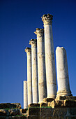 The Capitol, Thuburbo Majus, The Tell, Tunisia