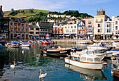 Harbour View, Dartmouth, Devon, UK, England