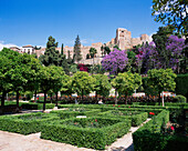 Alkazar Gardens, Malaga, Costa del Sol, Spain