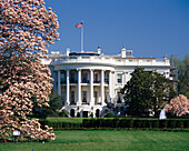 The Whitehouse, Washington DC, District of Columbia, USA