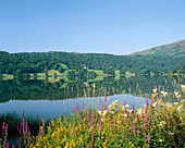 View over Lake, Grasmere, Cumbria, UK, England