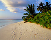 Beach View, Bandos Island, North Male Atol, The Maldives